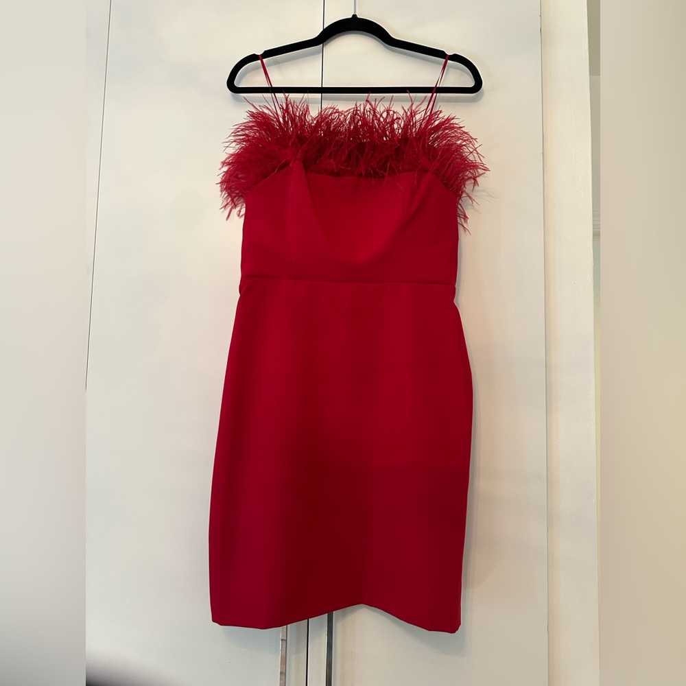 Sam Edelman Strapless Red Dress with Feather Detail